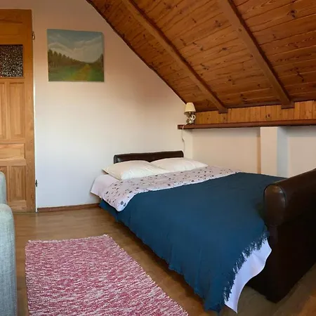 Guest house U Krolow *